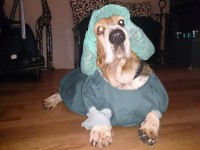 /album/fotogalerij/ok-toos2-jpg/